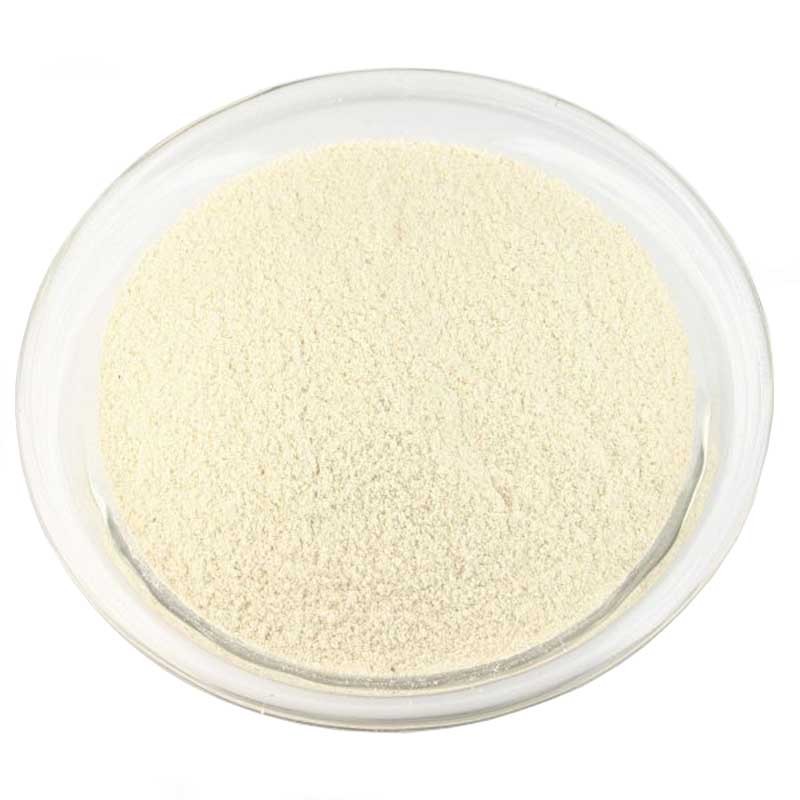 Technical Gelatine Powder - 100 g KREMER Glues